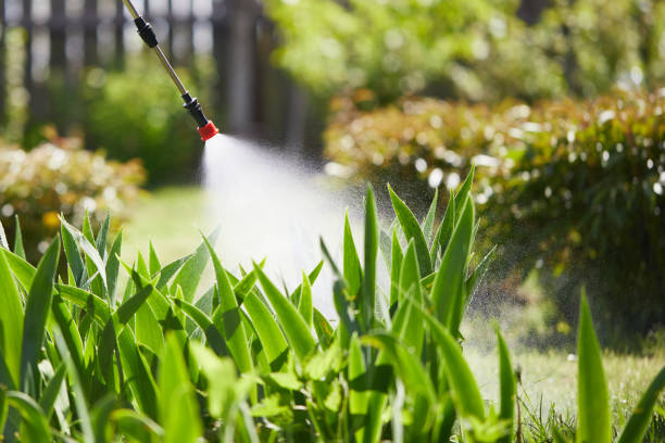 24/7 Emergency Mosquito Control experts in Rock Port, MO