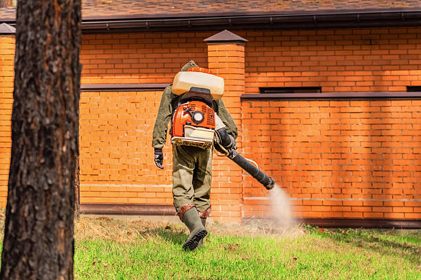 Top rated local Mosquito Control specialists in Rock Port, MO
